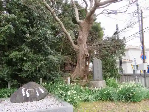 下総国三山　二宮神社のその他建物