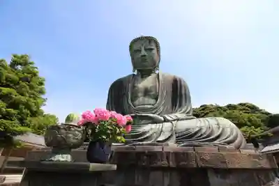 高徳院(神奈川県)