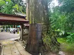 白山比咩神社(石川県)