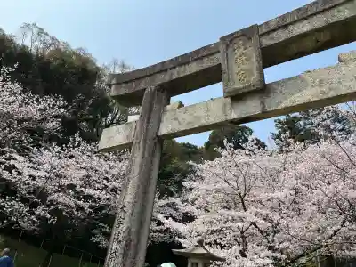 筑紫神社の{uncategorized: "未分類", other: "その他", undefined: "問題あり", building: "その他建物", grave: "お墓", sacred_gate: "鳥居", guardian: "狛犬", statue: "像", buddha: "仏像", history: "歴史", nature: "自然", garden: "庭園", animal: "動物", pagoda: "塔", temizu: "手水舎", mountain_gate: "山門・神門", sanctuary: "本殿・本堂", subordinate: "末社・摂社", art: "芸術", scenery: "景色", jizo: "地蔵", ema: "絵馬", goshuin: "御朱印", omikuji: "おみくじ", items: "授与品その他", amulet: "お守り", goshuincho: "御朱印帳", eats: "食事", festival: "お祭り", votive_dance: "神楽", shichigosan: "七五三参", wedding: "結婚式", experience: "体験その他", initially: "初詣", around: "周辺", anti_infection: "感染症対策"}