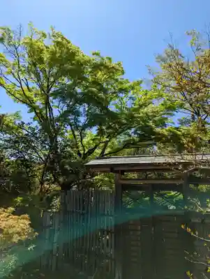 大法院(京都府)