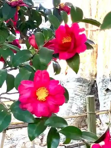 龍ケ崎八坂神社(茨城県)