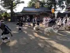 白髭神社のお祭り