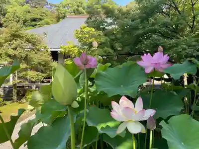 伊勢の国 四天王寺(三重県)