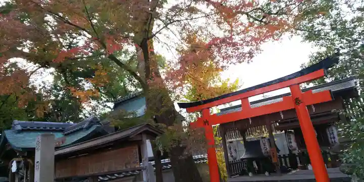 猿田彦神社の自然