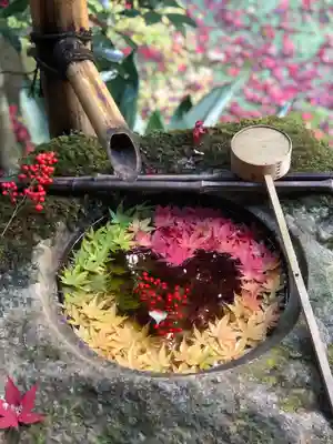 柳谷観音 楊谷寺の手水舎