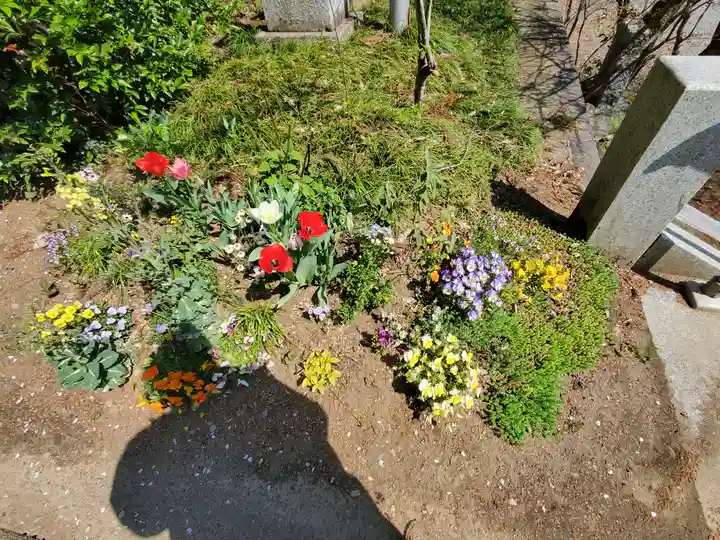 千代ケ岡八幡宮の自然