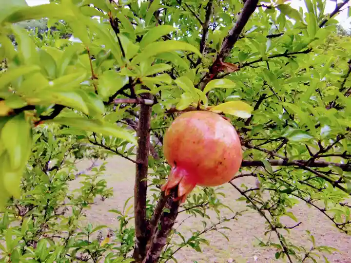 鏡忍寺(千葉県)