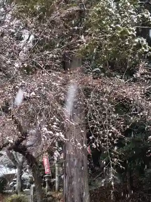 鹿島大神宮(福島県)