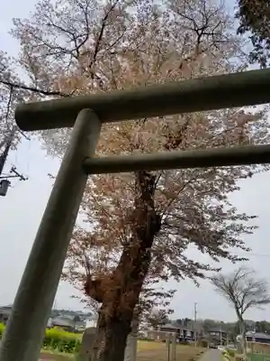 酒門神社の鳥居