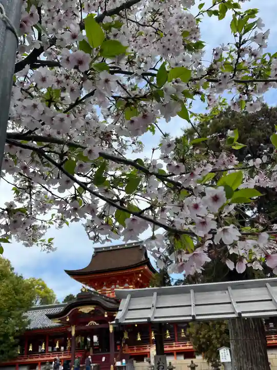 石清水八幡宮(京都府)