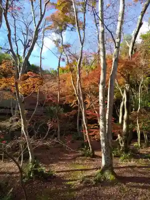 祇王寺(京都府)