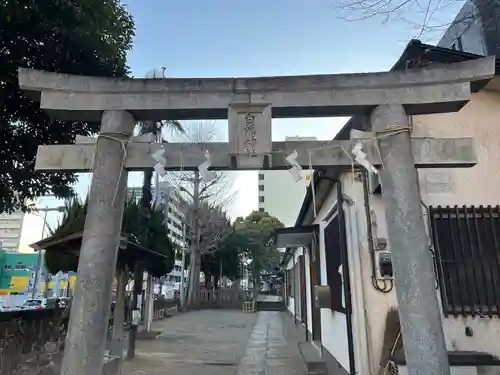 白幡神社(千葉県)