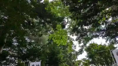 豊受稲荷神社（湯倉神社）の自然