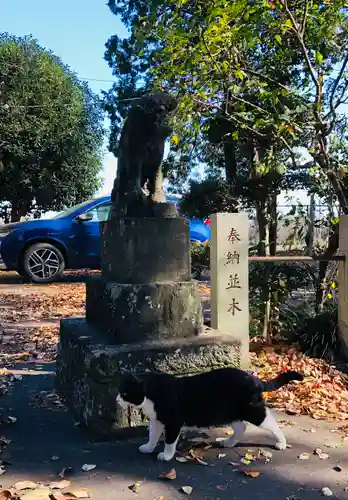 馬場氷川神社の狛犬