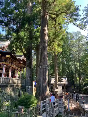 三峯神社(埼玉県)