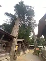 豊受大神社の建物その他