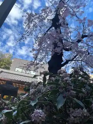 日蓮宗瑞光山久遠寺(愛知県)