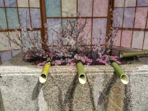 飯野八幡宮の{uncategorized: "未分類", other: "その他", undefined: "問題あり", building: "その他建物", grave: "お墓", sacred_gate: "鳥居", guardian: "狛犬", statue: "像", buddha: "仏像", history: "歴史", nature: "自然", garden: "庭園", animal: "動物", pagoda: "塔", temizu: "手水舎", mountain_gate: "山門・神門", sanctuary: "本殿・本堂", subordinate: "末社・摂社", art: "芸術", scenery: "景色", jizo: "地蔵", ema: "絵馬", goshuin: "御朱印", omikuji: "おみくじ", items: "授与品その他", amulet: "お守り", goshuincho: "御朱印帳", eats: "食事", festival: "お祭り", votive_dance: "神楽", shichigosan: "七五三参", wedding: "結婚式", experience: "体験その他", initially: "初詣", around: "周辺", anti_infection: "感染症対策"}