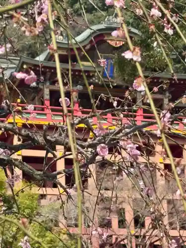 祐徳稲荷神社の{uncategorized: "未分類", other: "その他", undefined: "問題あり", building: "その他建物", grave: "お墓", sacred_gate: "鳥居", guardian: "狛犬", statue: "像", buddha: "仏像", history: "歴史", nature: "自然", garden: "庭園", animal: "動物", pagoda: "塔", temizu: "手水舎", mountain_gate: "山門・神門", sanctuary: "本殿・本堂", subordinate: "末社・摂社", art: "芸術", scenery: "景色", jizo: "地蔵", ema: "絵馬", goshuin: "御朱印", omikuji: "おみくじ", items: "授与品その他", amulet: "お守り", goshuincho: "御朱印帳", eats: "食事", festival: "お祭り", votive_dance: "神楽", shichigosan: "七五三参", wedding: "結婚式", experience: "体験その他", initially: "初詣", around: "周辺", anti_infection: "感染症対策"}