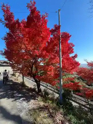 行基寺(岐阜県)