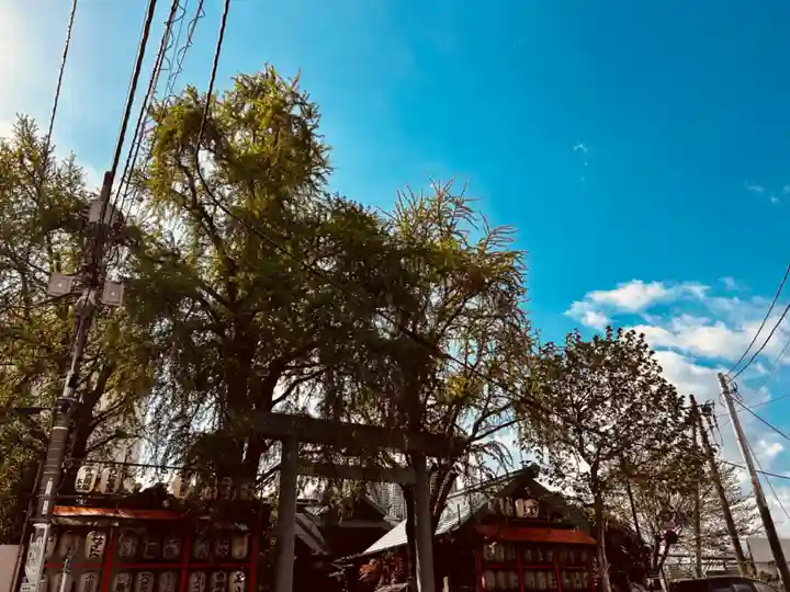 波除神社(波除稲荷神社)(東京都)