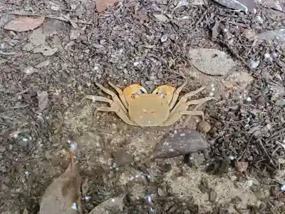 加茂神社の動物