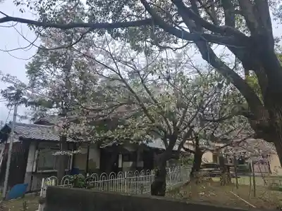浄蓮華院(京都府)