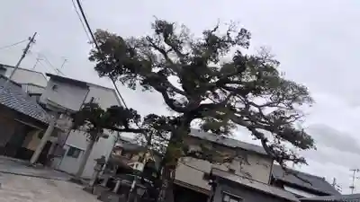 櫟谷七野神社(京都府)