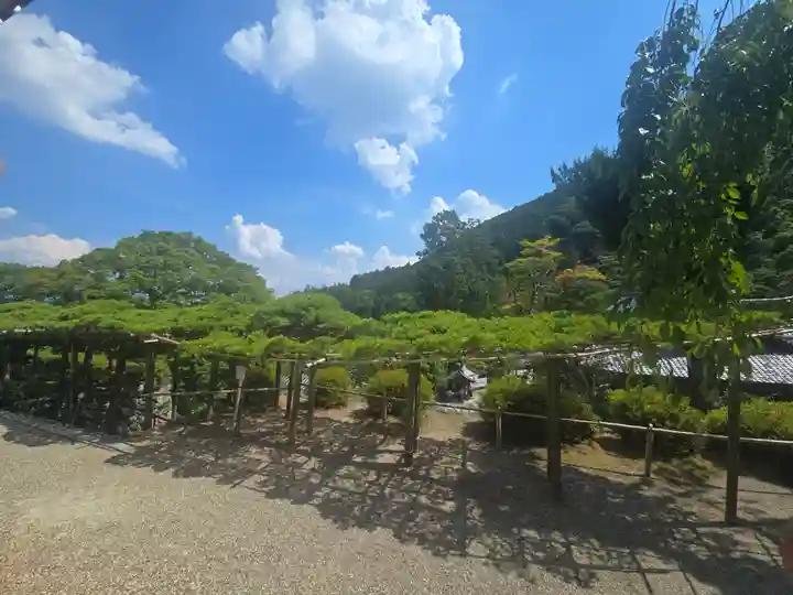 善峯寺(京都府)
