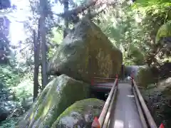 名草厳島神社の自然