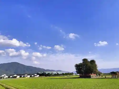 小川月神社(京都府)