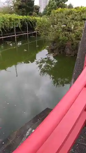 亀戸天神社の庭園
