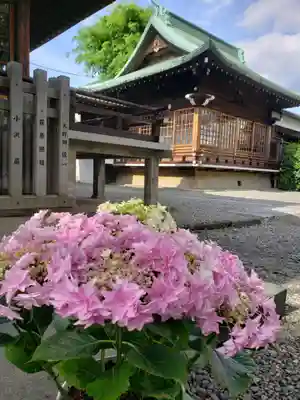 本郷氷川神社(東京都)