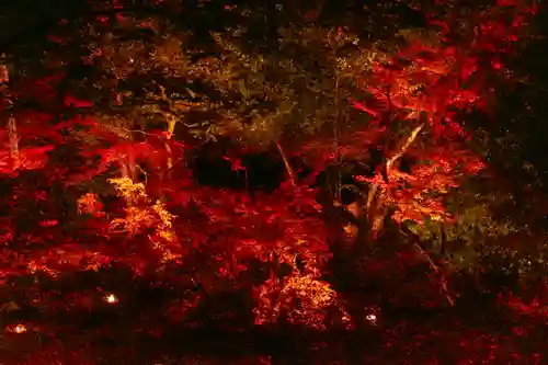 北野天満宮(京都府)