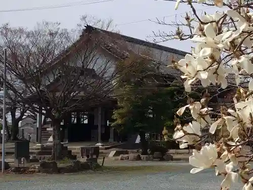 浄徳寺(愛知県)