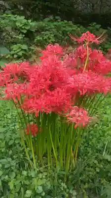 備中高梁稲荷神社の周辺