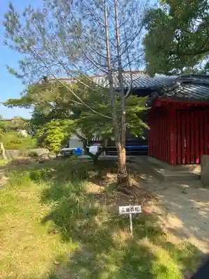 海岸寺奥の院(香川県)