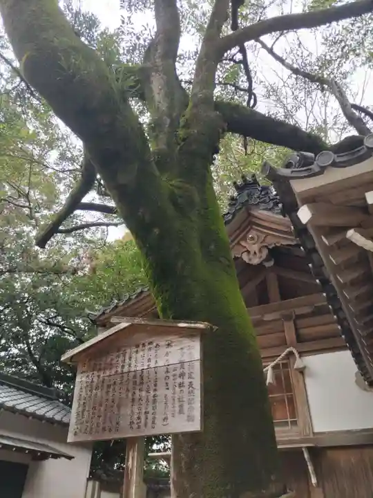 多賀神社(尾張多賀神社)(愛知県)