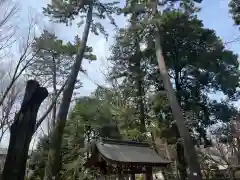 布多天神社の建物その他