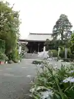 報恩寺の本殿・本堂