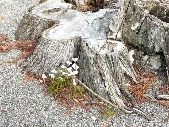 熊野神社(滋賀県)