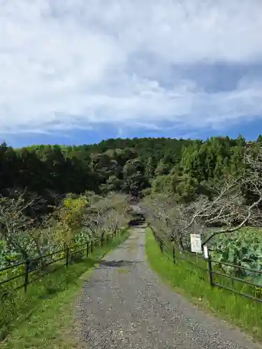 櫻宮神社(静岡県)