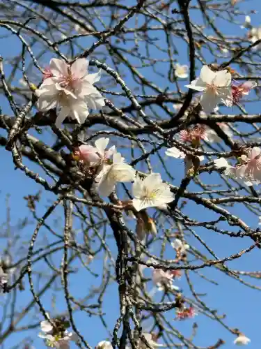 将門塚の{uncategorized: "未分類", other: "その他", undefined: "問題あり", building: "その他建物", grave: "お墓", sacred_gate: "鳥居", guardian: "狛犬", statue: "像", buddha: "仏像", history: "歴史", nature: "自然", garden: "庭園", animal: "動物", pagoda: "塔", temizu: "手水舎", mountain_gate: "山門・神門", sanctuary: "本殿・本堂", subordinate: "末社・摂社", art: "芸術", scenery: "景色", jizo: "地蔵", ema: "絵馬", goshuin: "御朱印", omikuji: "おみくじ", items: "授与品その他", amulet: "お守り", goshuincho: "御朱印帳", eats: "食事", festival: "お祭り", votive_dance: "神楽", shichigosan: "七五三参", wedding: "結婚式", experience: "体験その他", initially: "初詣", around: "周辺", anti_infection: "感染症対策"}