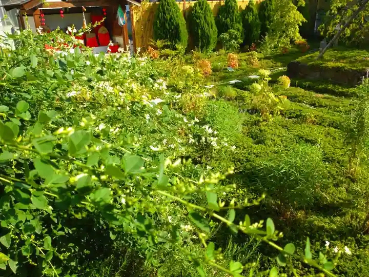 寿量山 速成寺の自然