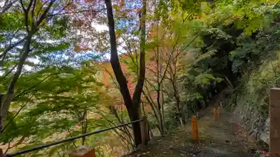 善峯寺(京都府)