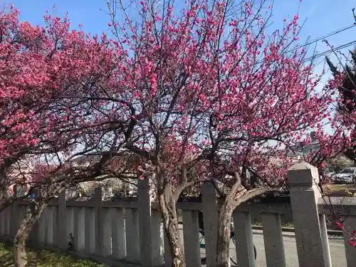 御厨神社の自然