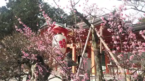 長岡天満宮の自然