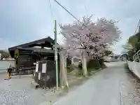 教道寺の{uncategorized: "未分類", other: "その他", undefined: "問題あり", building: "その他建物", grave: "お墓", sacred_gate: "鳥居", guardian: "狛犬", statue: "像", buddha: "仏像", history: "歴史", nature: "自然", garden: "庭園", animal: "動物", pagoda: "塔", temizu: "手水舎", mountain_gate: "山門・神門", sanctuary: "本殿・本堂", subordinate: "末社・摂社", art: "芸術", scenery: "景色", jizo: "地蔵", ema: "絵馬", goshuin: "御朱印", omikuji: "おみくじ", items: "授与品その他", amulet: "お守り", goshuincho: "御朱印帳", eats: "食事", festival: "お祭り", votive_dance: "神楽", shichigosan: "七五三参", wedding: "結婚式", experience: "体験その他", initially: "初詣", around: "周辺", anti_infection: "感染症対策"}