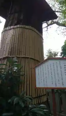 七社神社の歴史